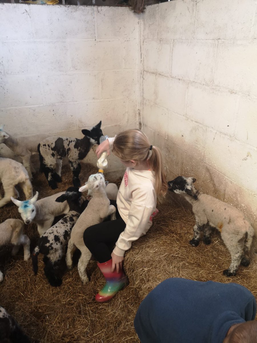 Our kids wellness workshop with the beautiful ⁦@mariagraymg⁩ went to the beach … then into our dear friend’s lambing shed. Fitness and feel-good moments for the children #Easter #lambs #joy #wellness #happydays
