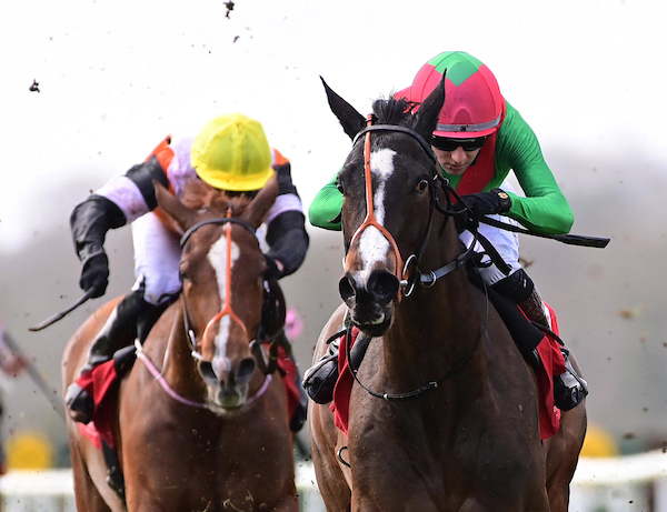 It's a double for the Slattery Team as our Feature Race of the day, The @IrishEBF_ Cork Stakes over 6f, goes the way of Easy for Owners Team Valor International LLC & Gary Barber. 🥇 Easy 🥈 Yosemite Valley 🥉 The Highway Rat 📸 Healy Racing