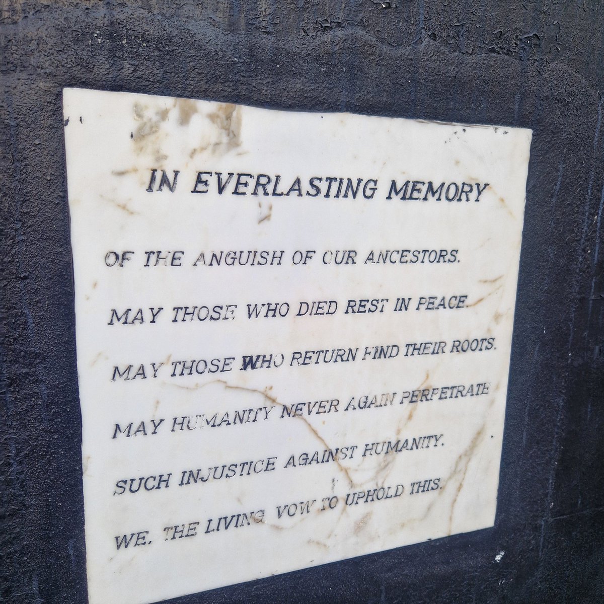 Timothy Wellington tweet media