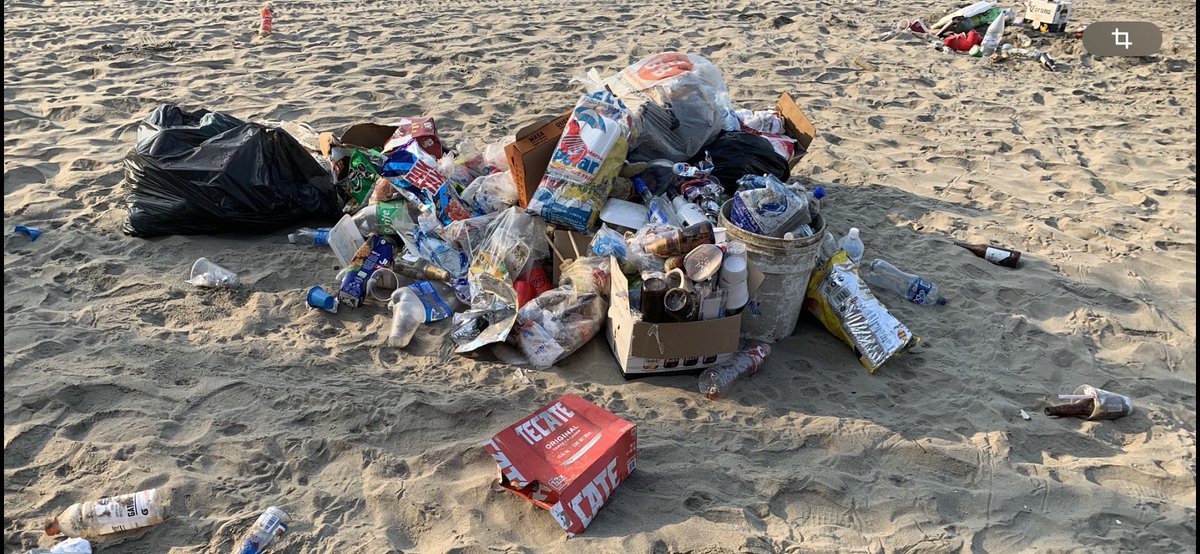 GiulianoDeMedici tweet media