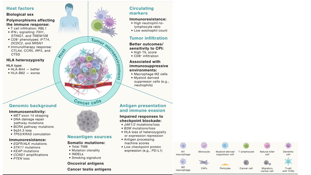 Celebrating 50 years of @CellCellPress with an emblematic article on cancer biomarkers (genomic, immune, circulating, host) led by @peters_solange and @APassaroMD . A must-read for your weekend! 🌟FREE link🌟 till 17th May‼️👇 authors.elsevier.com/c/1iqgjL7PXqQ6F @myESMO @IASLC @ASCO #LCSM…