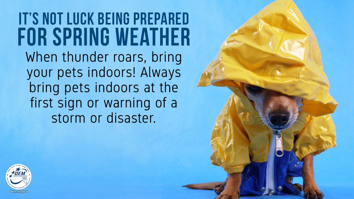 NVEmergencyMgmt's tweet image. Spring into action for your pets when the weather gets rough! 🌩️🐕 Equip them with a cozy shelter indoors and keep them close when warnings hit. Your pet relies on you, even when it&apos;s not raining cats and dogs! #SpringSafety #PetPreparedness