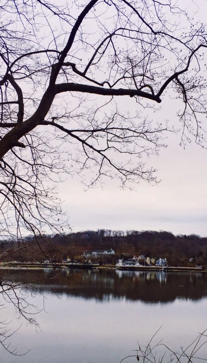 Míriam Ferrer Gonzalez (@miriamferrer95) on Twitter photo End of an era! After 4 and a half years, yesterday was my last day at <a href="/CSHL/">Cold Spring Harbor Laboratory</a>. Thank you to the Janowitz lab members and everyone who has crossed paths with me during my time at CSHL 🤍 Very excited for the new chapter ahead! End of an era! After 4 and a half years, yesterday was my last day at <a href="/CSHL/">Cold Spring Harbor Laboratory</a>. Thank you to the Janowitz lab members and everyone who has crossed paths with me during my time at CSHL 🤍 Very excited for the new chapter ahead!