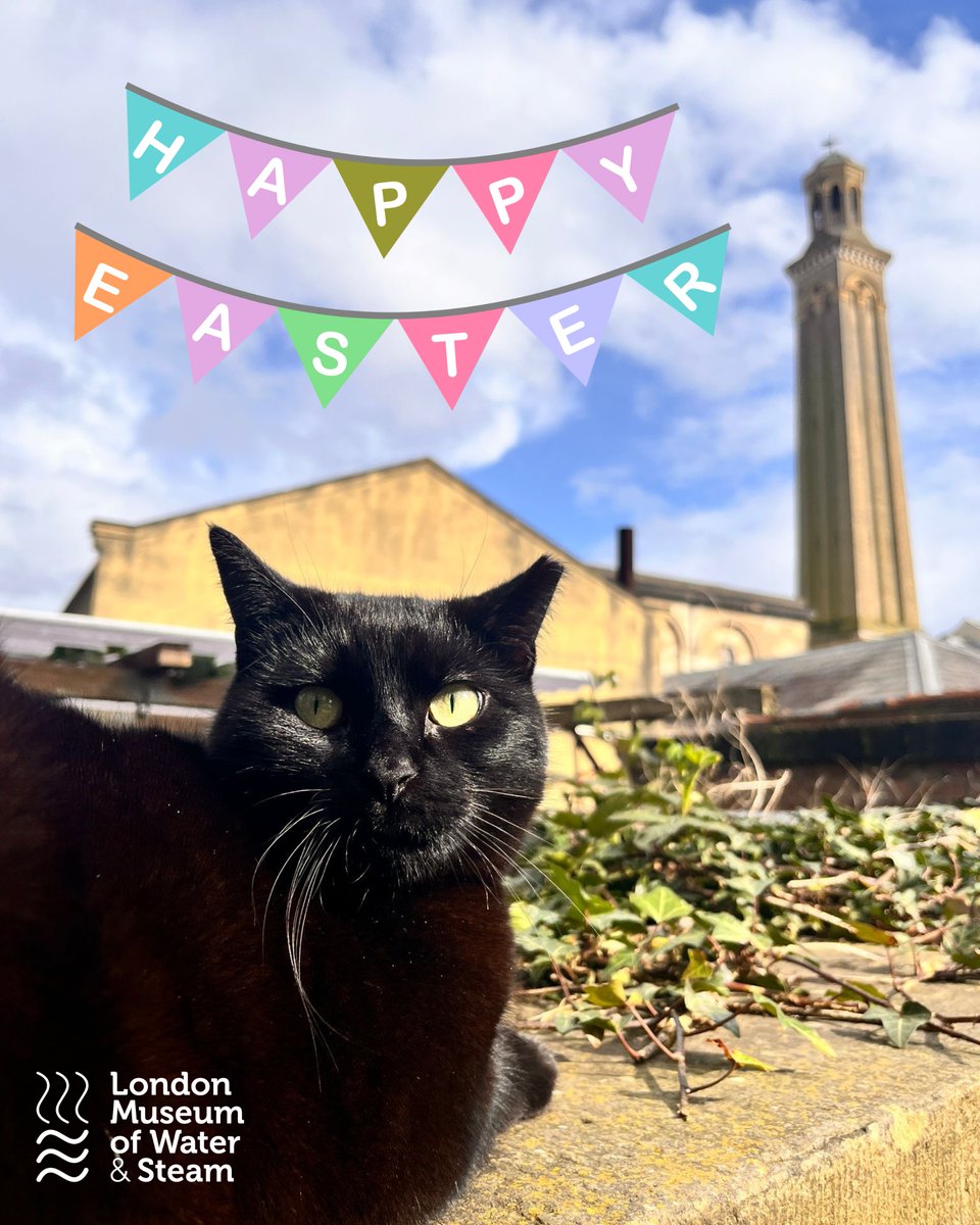 Happy Easter from Piper! 🎉🐈‍⬛💐 Reminder that we are in Steam today and tomorrow, the train is running, and we have an Easter Egg hunt going until April 14th!