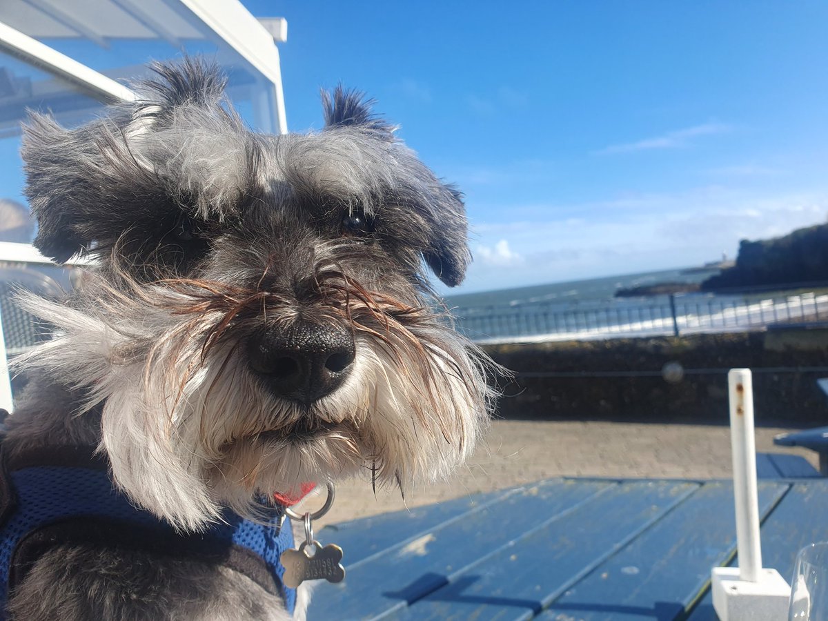 Happy Easter everyone