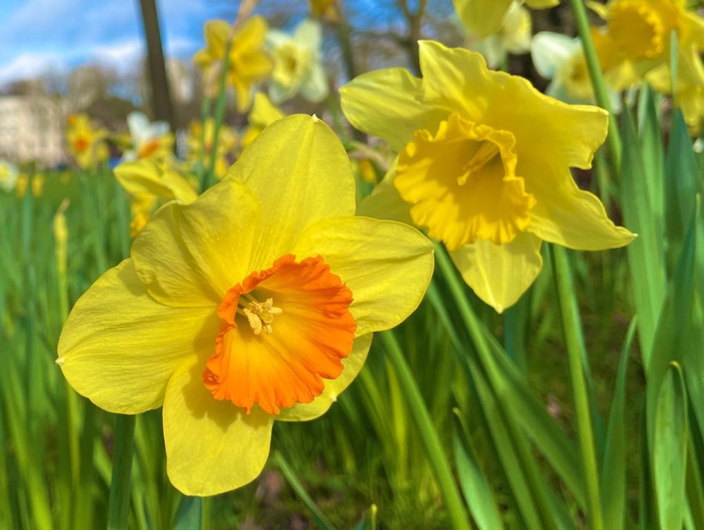 Happy Easter! Thank you to our dedicated staff and pupils for a brilliant Spring term. Wishing everyone a very restful break. #ravenscourtparkprep #rpps