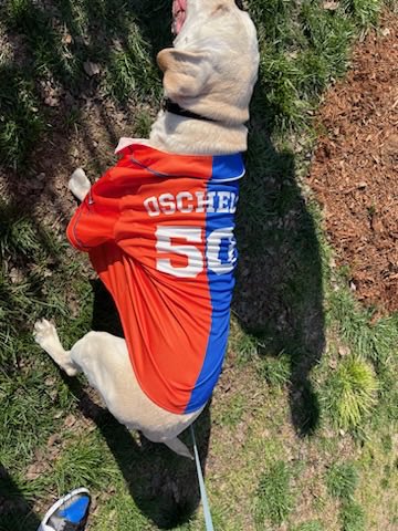 This is Cooper Oschell. Cooper belongs to Duke pitcher Fran Oschell and UVA pitcher Charlie Oschell who are brothers. Cooper is a good boy supporting both of them this weekend for the Duke vs UVA series