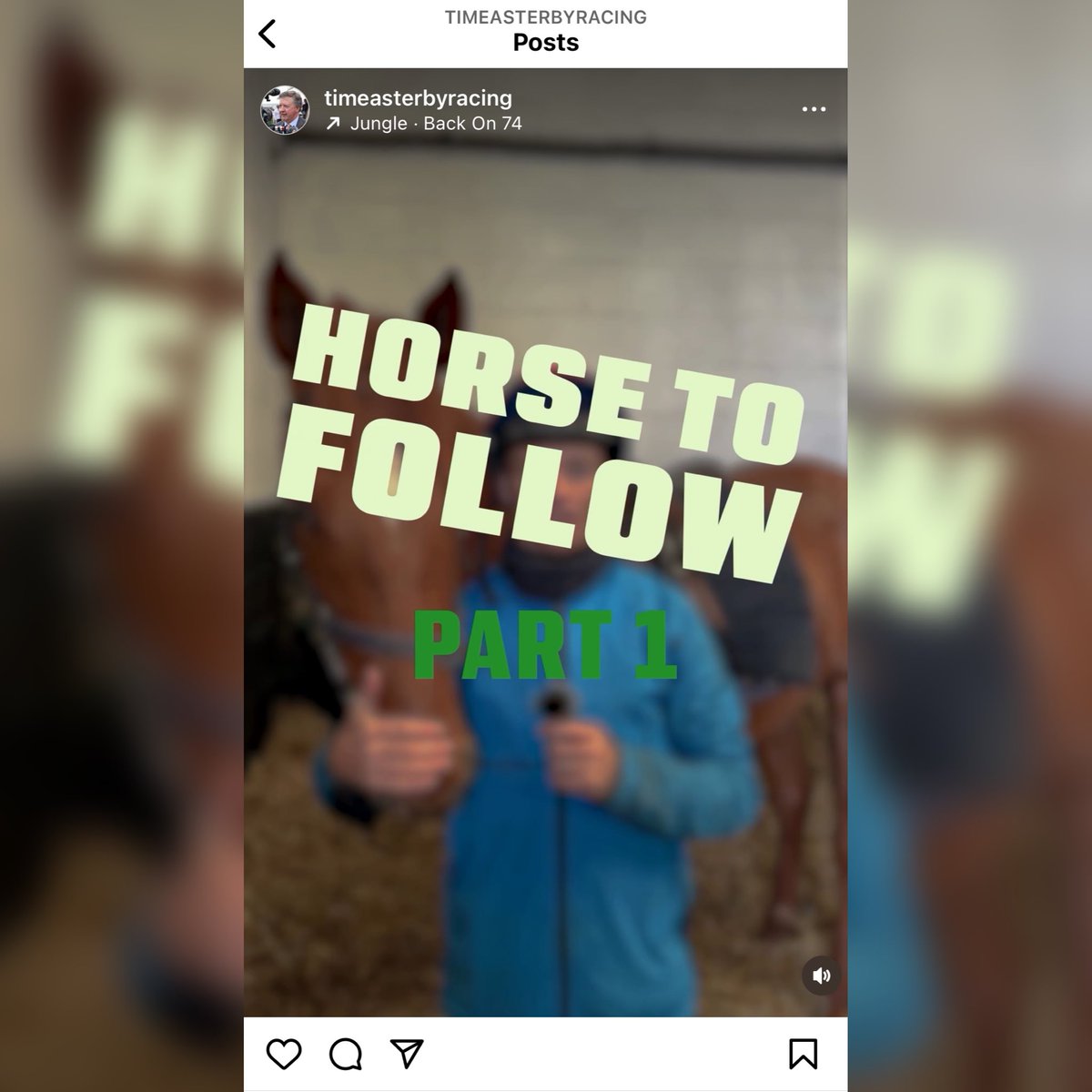 Head over to our instagram page to find out the horses our team think you should be following this year! Give us a follow so you don’t miss Part 2! instagram.com/timeasterbyrac…