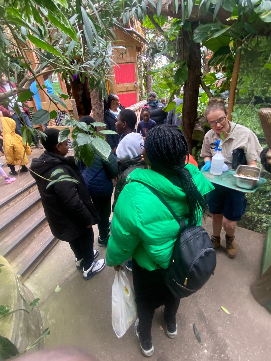 Bringing families together for a day of fun at Plantasia Tropical Zoo Our Family Funday was a huge success, promoting unity and togetherness in our community. ThanKs to all who joined us! #FamilyFunday #CommunityUnity #PlantasiaTropicalZoo #AfricanCommunityCentre #swanseacouncil