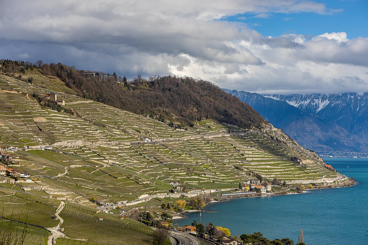 Winnice Lavaux