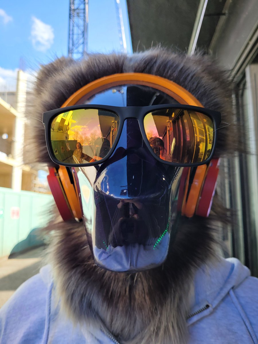 dudisgit's tweet image. I gained a singular cool point today 

📷 @WeirdDogOnline