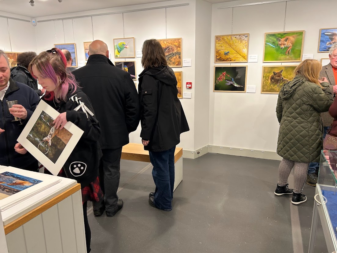 Thank you to everyone who came along to the opening night of my exhibition! Each and every one of you made it special. The amount of positive feedback left me speechless and I can't thank you enough for all your kind words.