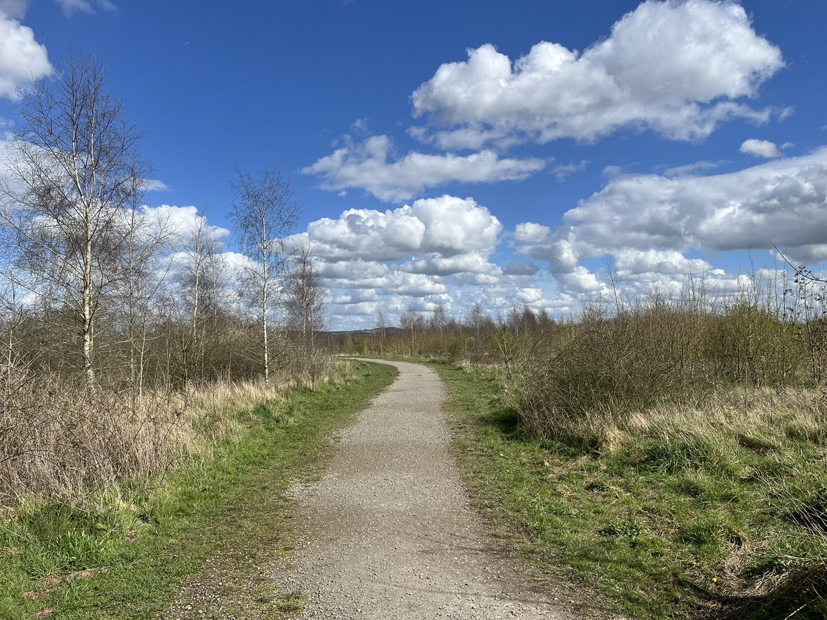 With the sunshine deciding to show its face for #Easter its out for a walk we go! #loveparks #springtime #itsnotraining @NatForestCo @WoodlandTrust @ForestryEngland 🌳🌞🚶🐥