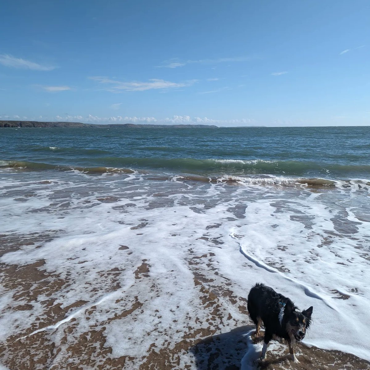 Bank Holiday #adventure. #dogslife #mindfullness #stackpole #westwales