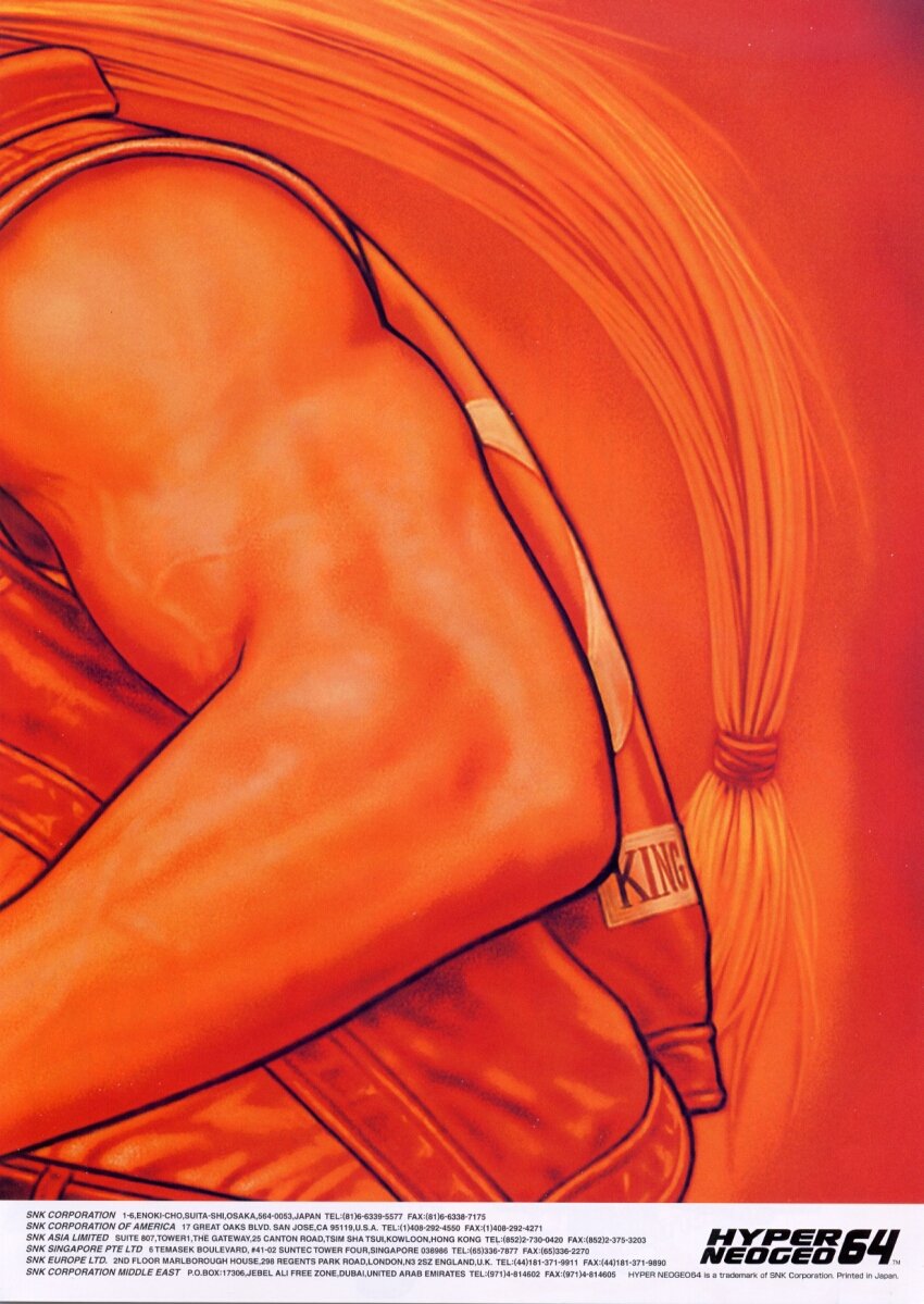 非売品】餓狼伝説 WILD AMBITION SNK テリー B2 ポスター