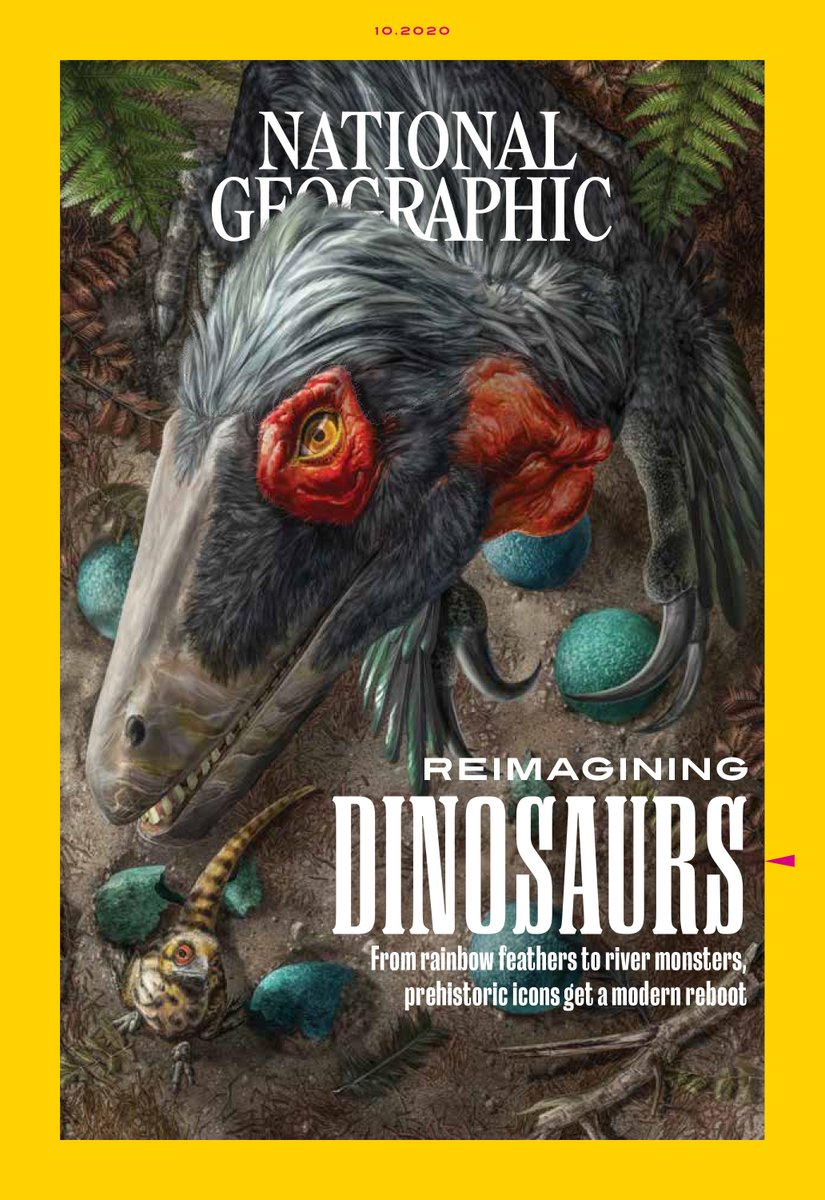 Curious about the topic? Check out 'Reimagining dinosaurs' in @NatGeo (by @michaelgreshko, illustrated by Davide Bonadonna) ... nationalgeographic.com/family/topic/r…