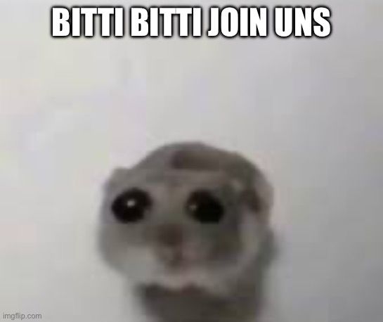 Our #RainbowSixSiege Team is looking for a Player to complete our roster
What you we expect from you

- 18+ y/o
- available 4-5/7
- Ger/Eng
- Flex/Frag
- Non toxic

What we offer

- a structured team which is willing to go for NATS
- familiy environment 
- prospect of a longterm