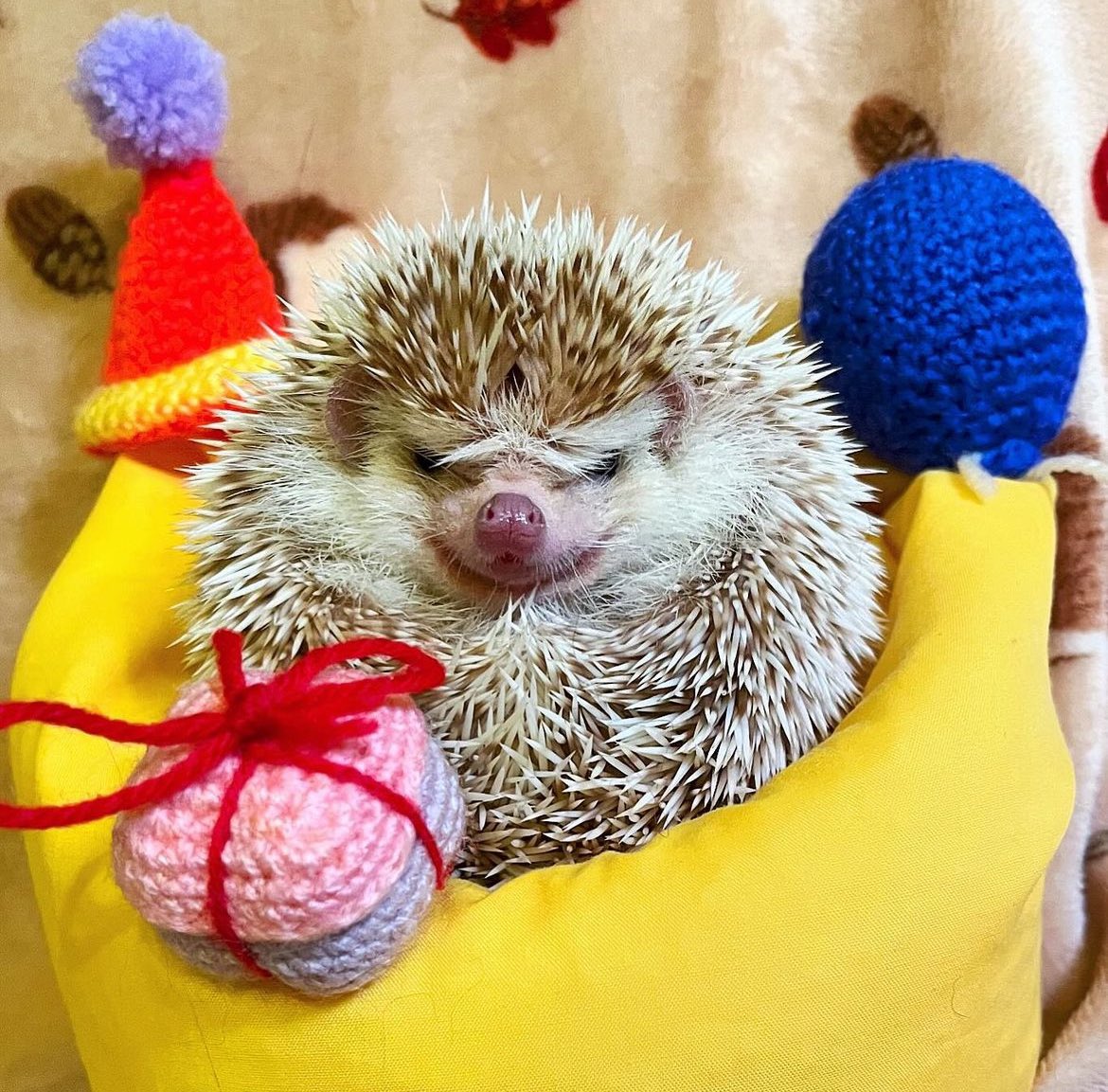 Saturday 30th March, 2024