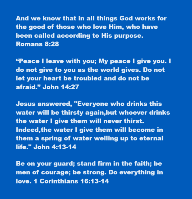 Jenny49_MIZ's tweet photo. @ZacharyAsh3 @BiblaMagnus @_CBrooks_ @kaleb__burgess @max_elton1 @Zach_evans_7 @SamEwing1_ @FrenchieCole133 @ThrowTheHuman @ChaseKranitz @Tommyymaddoxx @jay_nivison @LonnellPabon @DylanSchell_ @HunterShaut13 @BradyUnger2023 @robbie_unruh 💙🤍 https://t.co/rLrlJDSviK