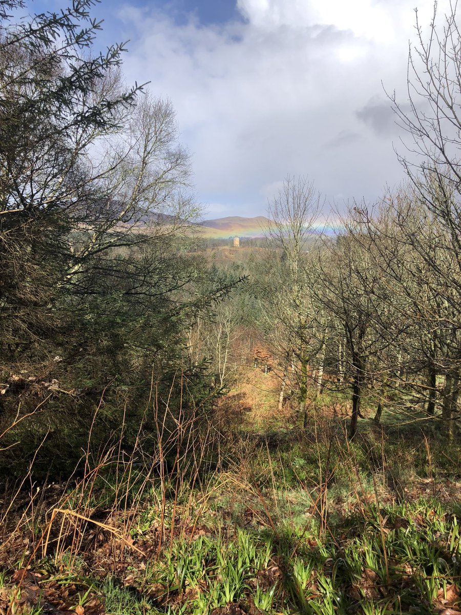 Ella Taylor-Smith tweet media