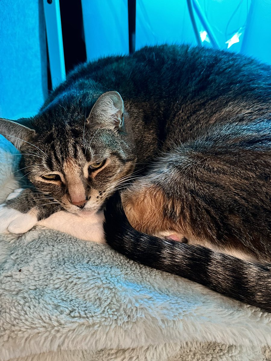 QueenNaviDean's tweet image. don't break the chain!

— lockscreen 
— last song you listened to
— 7th pic in gallery
— 5 tags

@AlyTheBot @gaybruises @montaghoul @sloth_bag @uwubreci