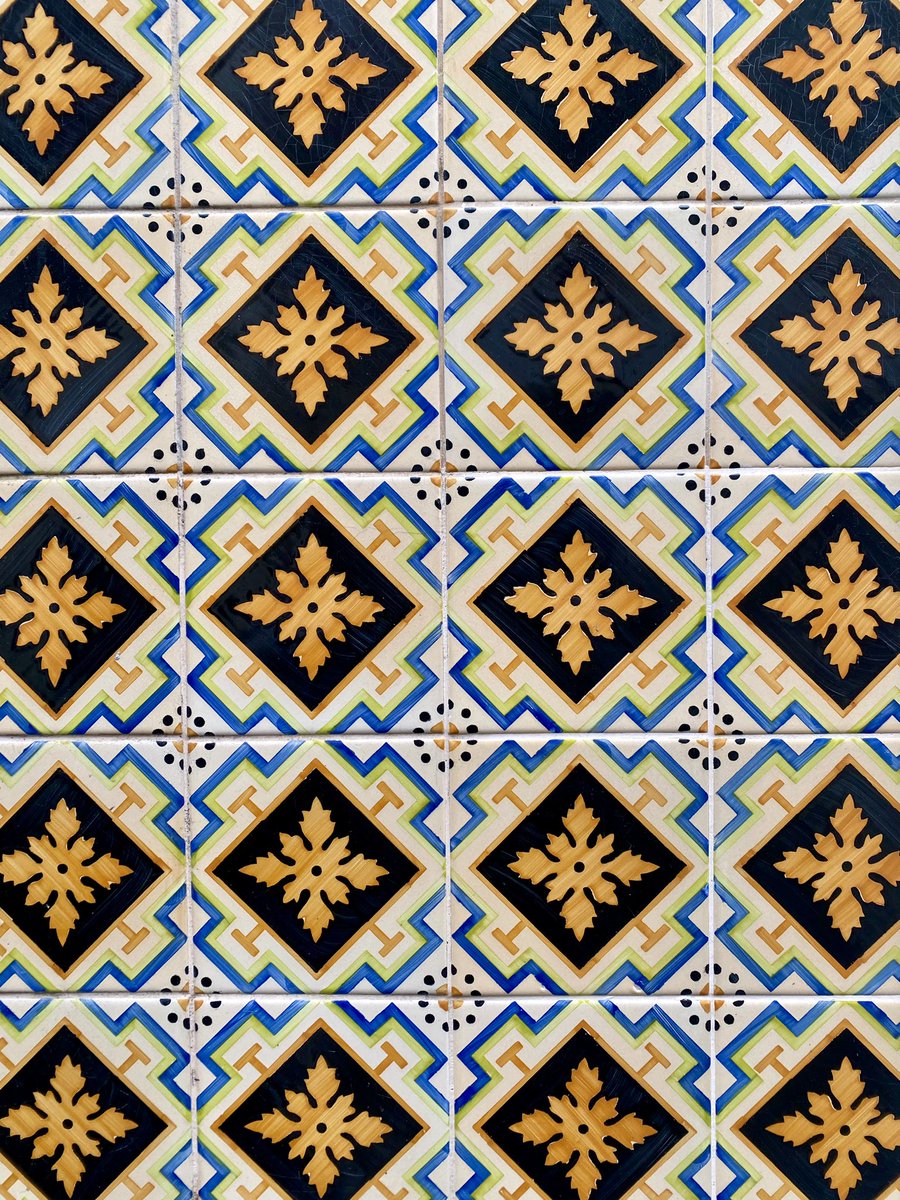 fascinada por las casas con azulejos de Oporto
