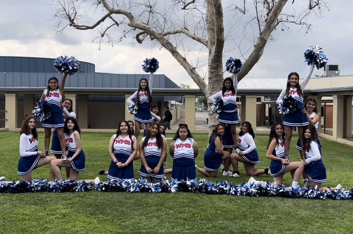 Washington MS tweet media