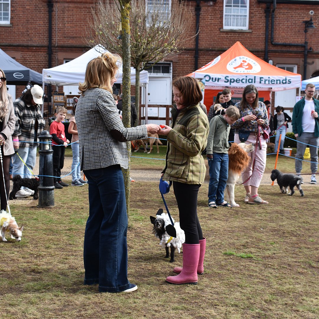 It was great to see so many people attend the @NHRMuseum for their Easter Paw-ty! Their fun dog show was a hit and the weather definitely made for a fantastic event 🥳 Keep an eye out for future events and other Easter activities over on our What's On - discovernewmarket.co.uk/whats-on/