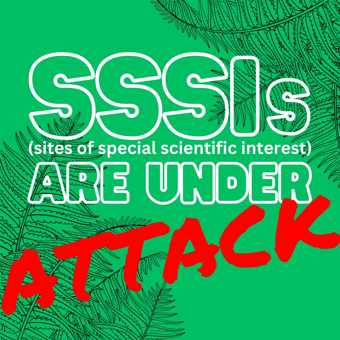 SSSIs are in danger RIGHT NOW . So what is an SSSI, and why are they so important, and why are they in danger? [1/?]