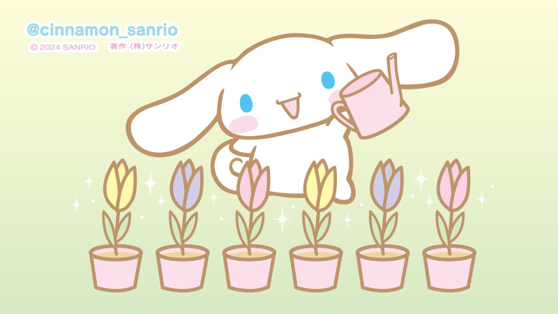 シナモン【公式】 on X