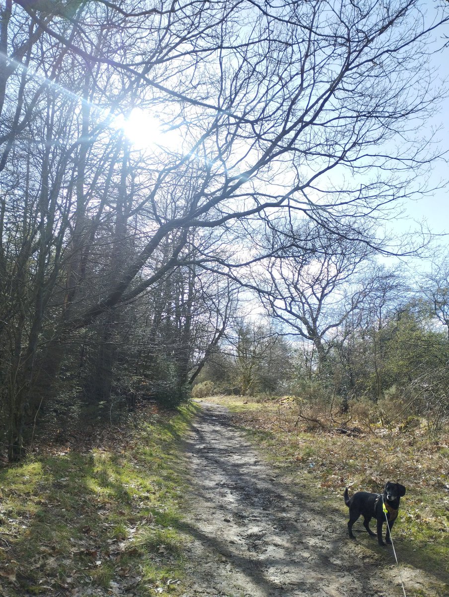 A beautiful walk this afternoon, making the most of today's glorious weather! 😎
#NorthYorkshire