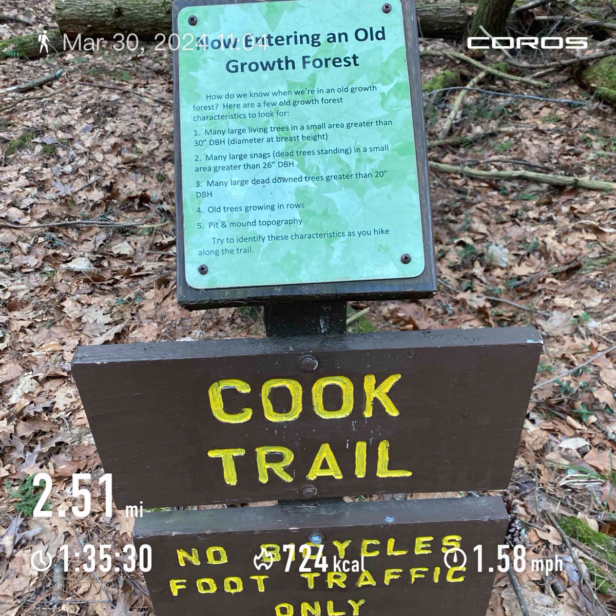 TonyMel13027869's tweet image. Mid morning hike. Got caught in the rain 🌧️ Enjoyed it anyways #hike #cookforest