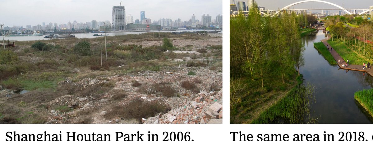 Tai Chi   - where an opponent's energies are redirected and not resisted.
Sponge Cities - doing Tai Chi with water - bit.ly/3PElSkk

Stop fighting the water.
We have to adapt.
And of course new city centre Tai Chi classes starting soon - Register: linktr.ee/aaiotanga