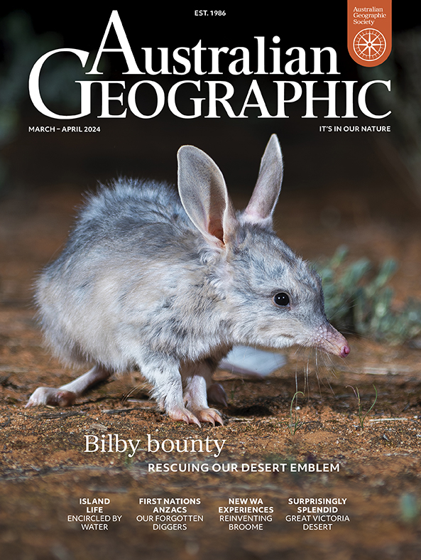 Happy #BilbiesNotBunnies day! Treat yourself to some chocolate and a good read this weekend ❤️ Thanks @ausgeo for profiling this iconic Australian species + our work to protect it.