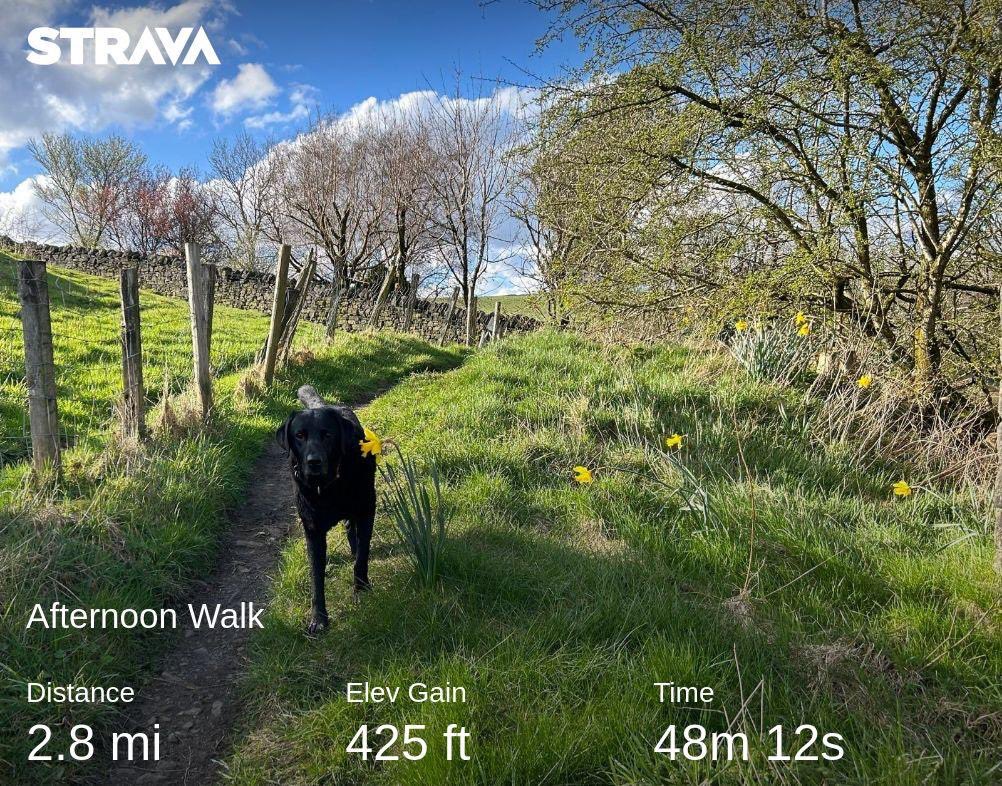 Last couple of miles this afternoon on #WorldBipolarDay for the @BipolarUK #poletopolechallenge 2,036 miles of running and walking completed in 322 days. The #muddymilesformegs will still continue however with a 20 mile hike of Saddleworth 5 Trigs on April 20th @runningpunks