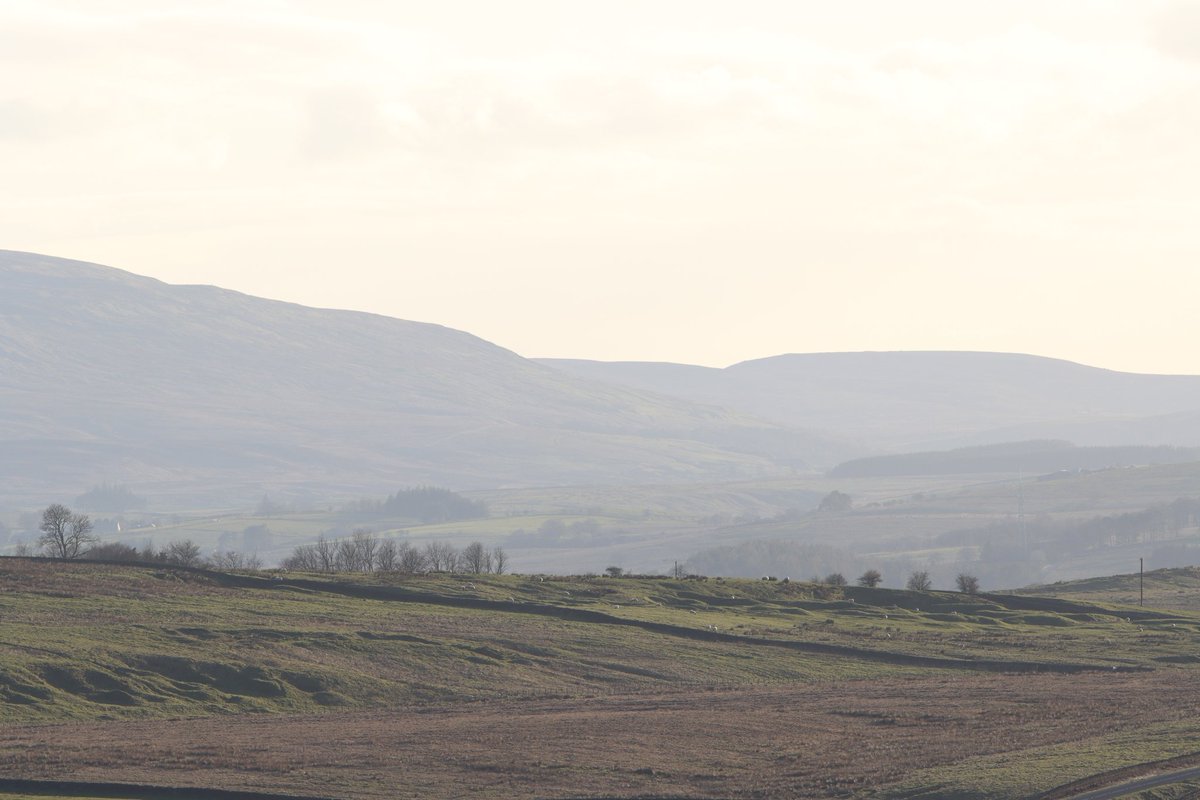 Tom_Darron's tweet image. Views, hare and a pjed wagtail, first night at a cottage near hadrians wall this week!