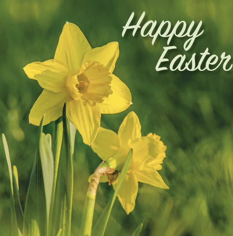 Tipperary University Hospital Management Team wish all staff and patients a very Happy Easter 🐣 Thanks to those working this Bank Holiday Weekend,we appreciate your commitment @HSE_HR @IEHospitalGroup