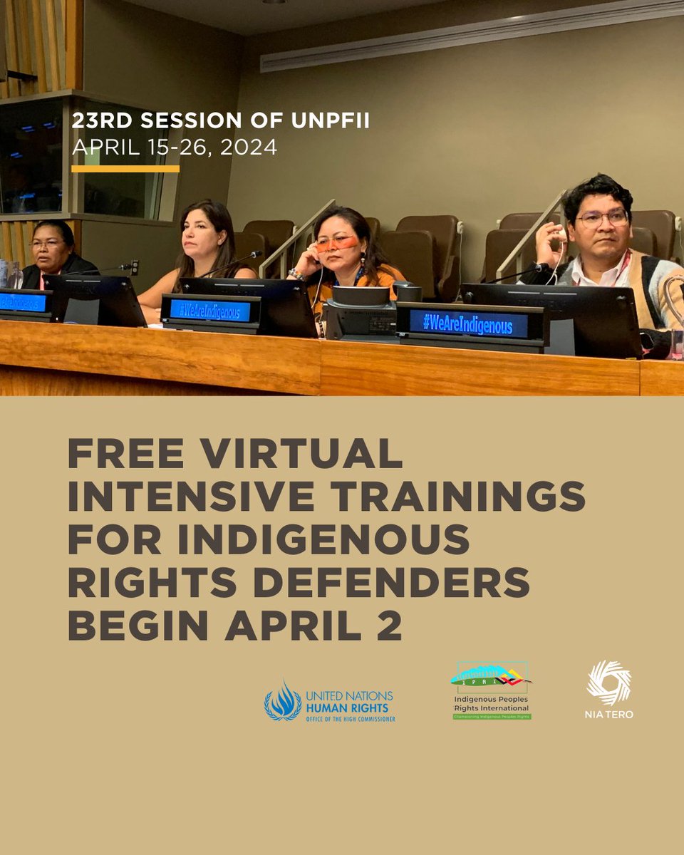 Nia Tero, @IPRightsIntl and the UN Voluntary Fund will hold four free virtual intensive trainings ahead of the 23rd Session of the UN Permanent Forum on Indigenous Issues in New York City in April 2024. Learn more and sign up at bit.ly/3PHO5H0