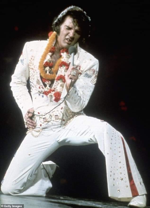 gginger069's tweet photo. Magnificent
Pose 
King 👑 https://t.co/QBeDZN8AmC
