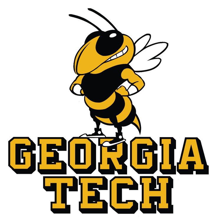 Blessed to receive an offer from Georgia Tech!! @DutchtownFB1 @_Coach_O @niketaq @corypeoples @Q_Jones2 @romandg3 #gojackets🐝