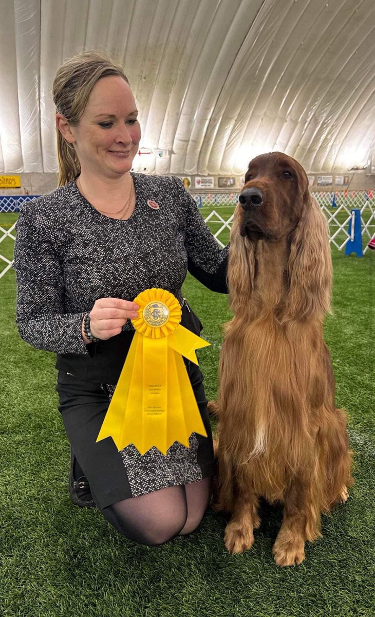 Show Season <a href="/WKCDOGS/">Westminster Kennel Club</a> 

#lenox