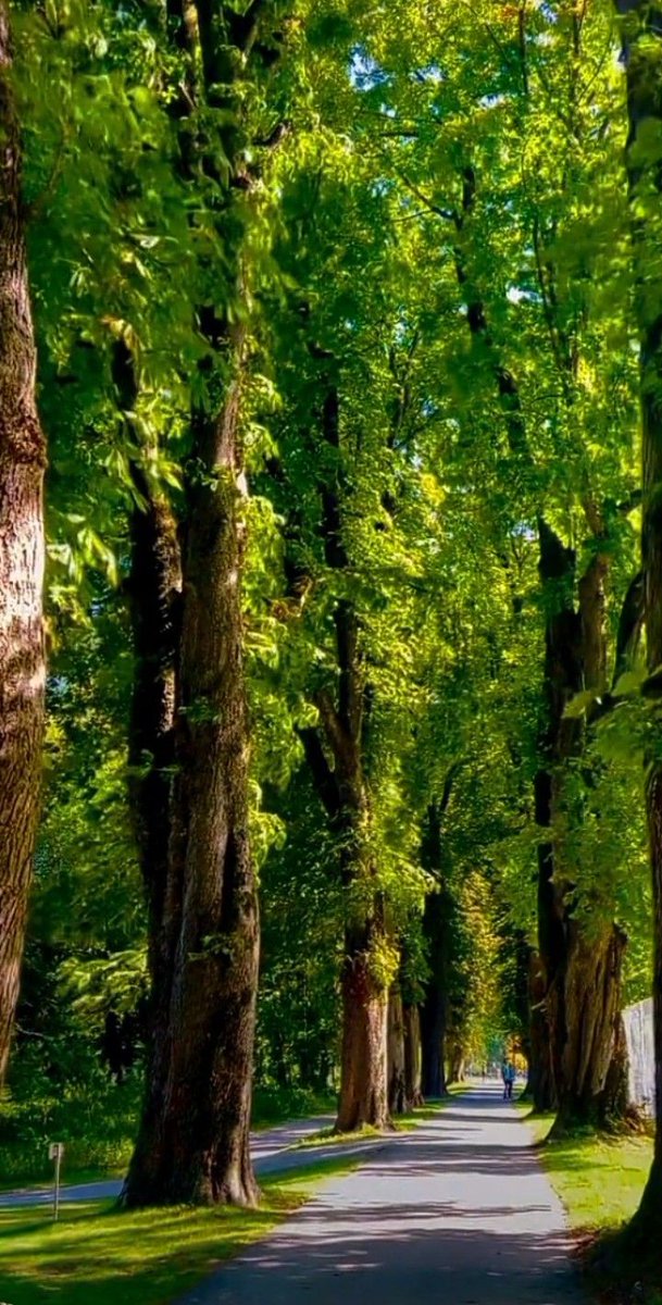 nature_zoo007's tweet image. Beauty of nature 🤩✨✨✨✨✨✨✨🫶#RIPDanielBalaji