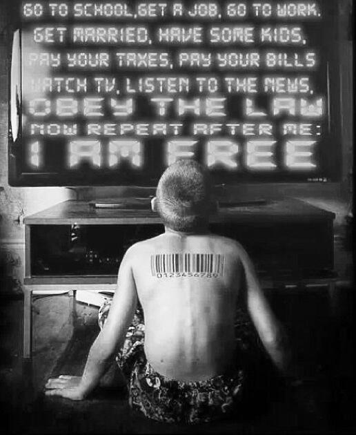 🔱MR SAIDI🔱 tweet media