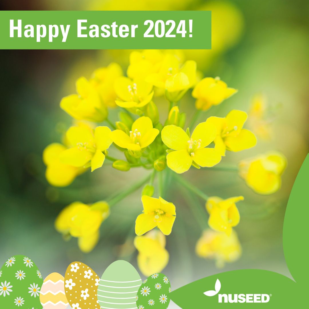 🐣🌼On behalf of #NuseedAustralia we'd like to wish all of our staff, agronomist, growers & farming communities a safe & happy #Easter!

🌱We hope you can relax & spend quality time with loved ones before launching into #canola season!

#happyeaster #canola24 #ausag