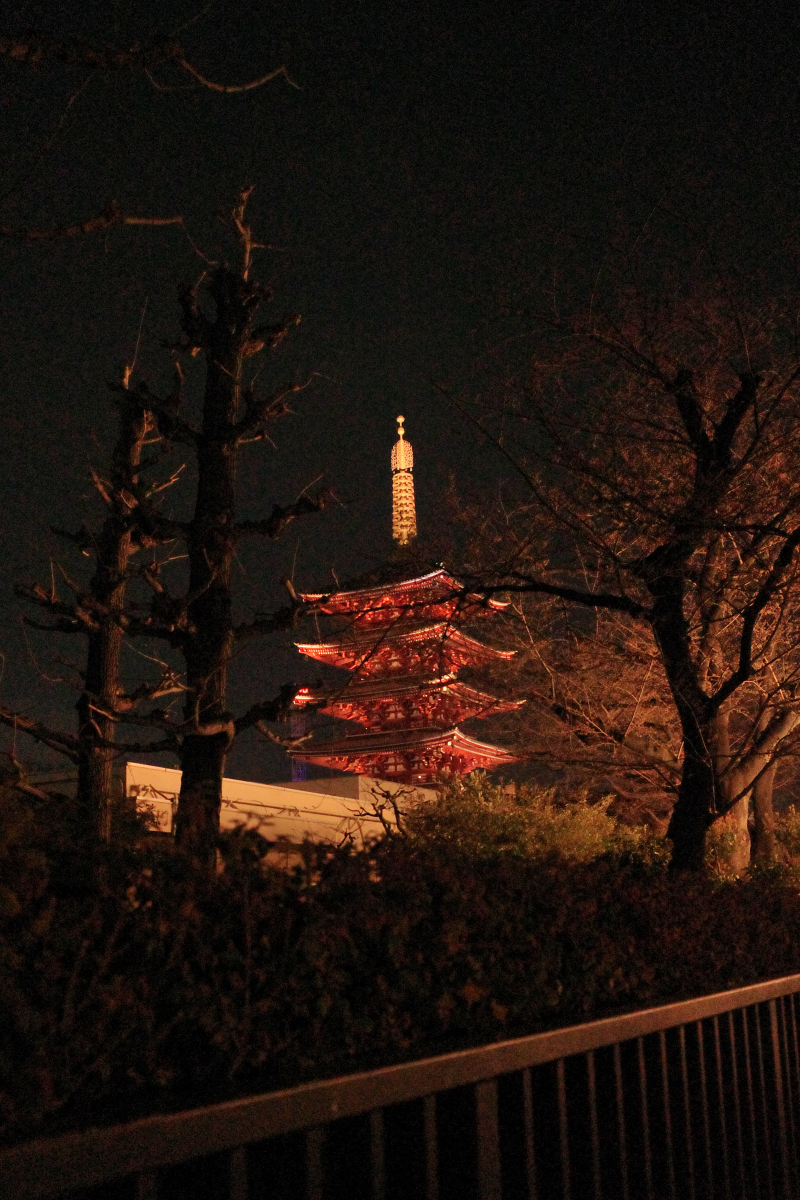 kaba603's tweet photo. 昨日は高円寺からの浅草
浅草は外国���観光客の方が半数位に感じた～
一週間後なら桜も楽しめたかな🌸 https://t.co/Y9teLKhhB7