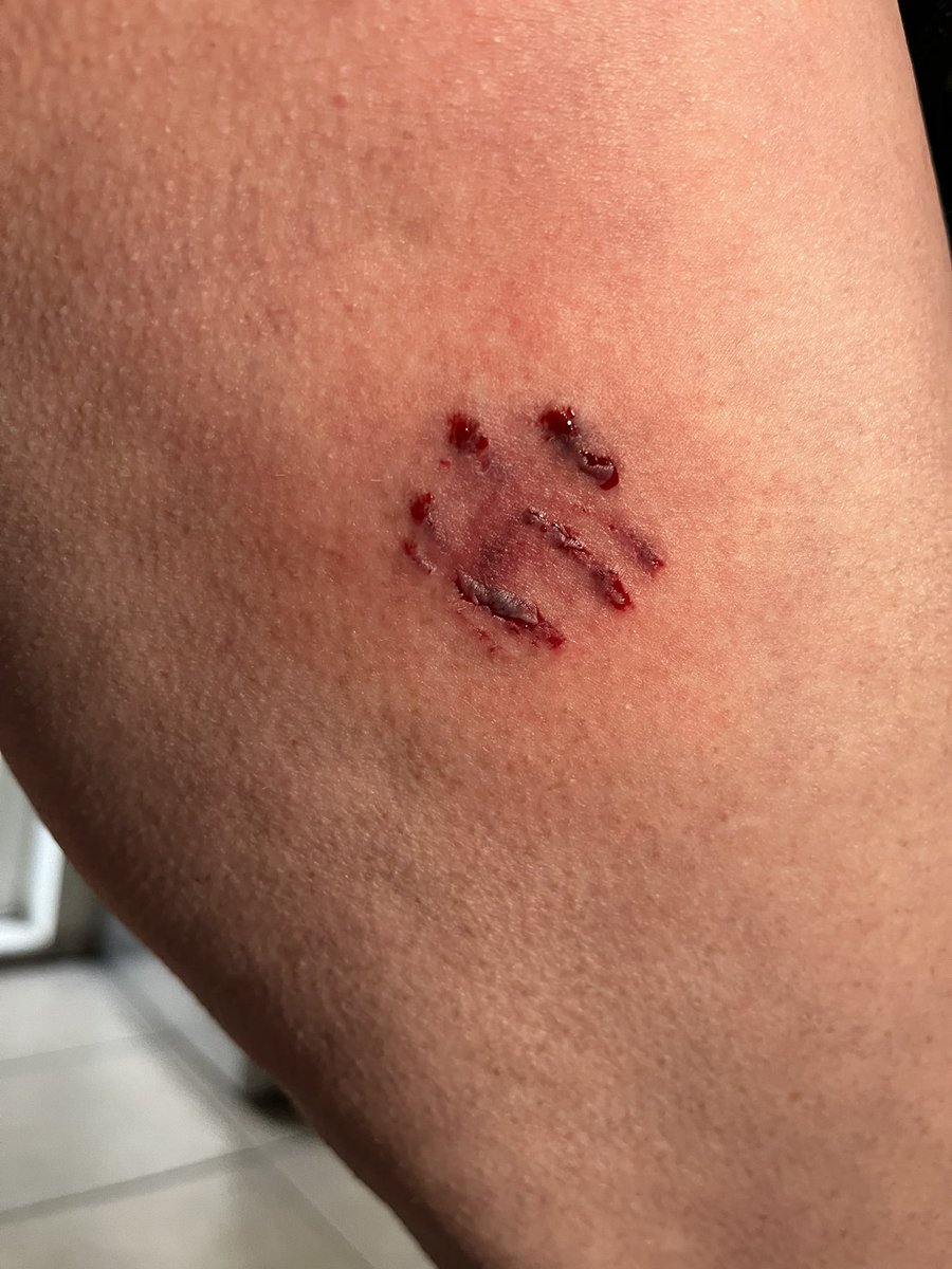 Kaye Dwight tweet media