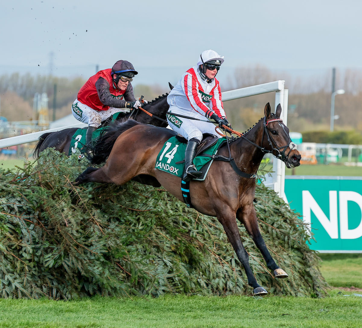 #LuckOnSunday - free to view from 9am tomorrow! @alexsteedman (standing in for @nickluck) will be joined by: -Tom Ellis, Gina Andrews & Pippa Ellis (team Latenightpass) -@dylancunha_uk -@CorneliusRacing -@McNeill_Family -@gavincromwell1 -Dane O'Neill And more! @WorldPool