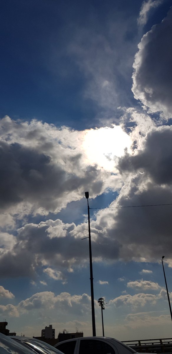 zizo_photograph's tweet photo. QP A Photo Looking Upwards
#skynft
#NFTs https://t.co/k3Ubh5QdYj