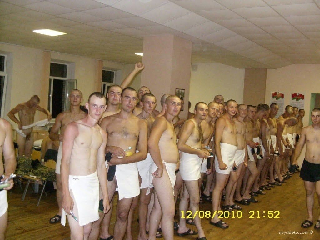 Musterung on X: t.coJfufTz1WDx  X