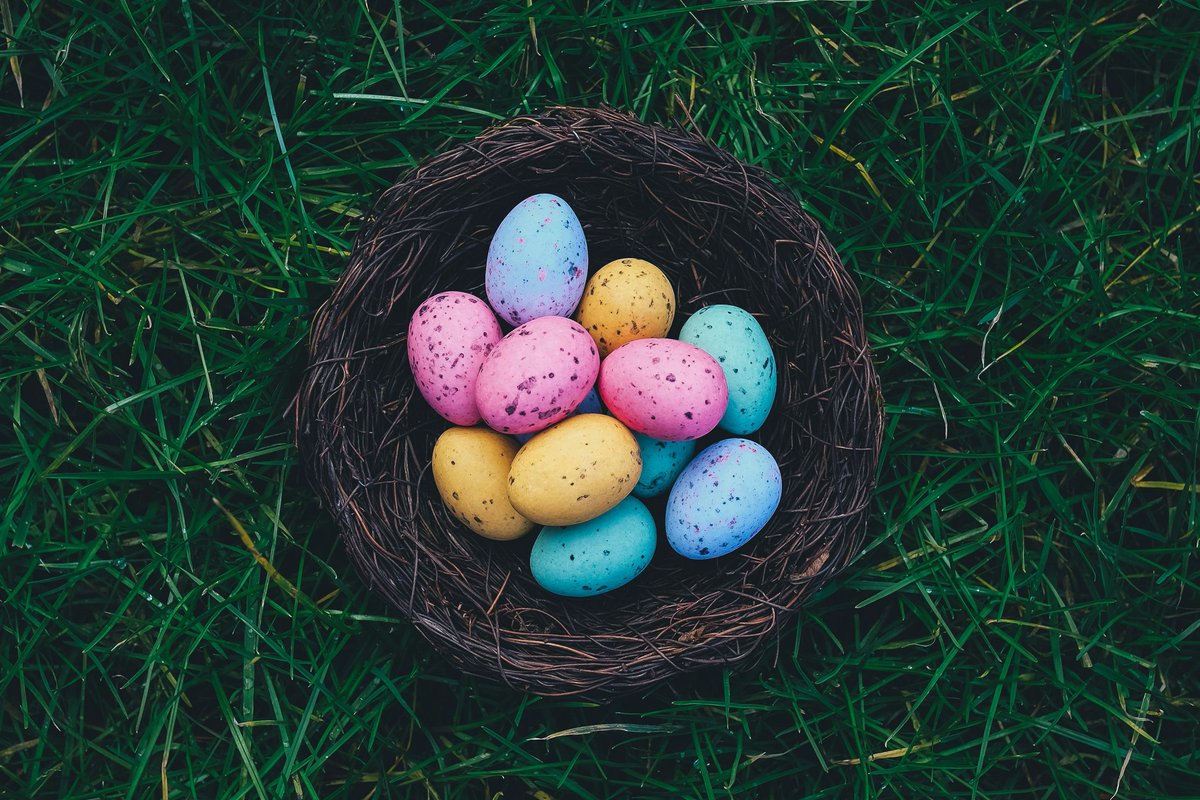 5 Tips to Stay Green this Easter🐣 🐰Use what you have or thrift instead of buying new 🐰Store leftovers in reusable containers 🐰Choose eco-friendly Easter eggs and egg fillers 🐰Use natural Easter egg dyes 🐰Compost egg shells #easter #sustainability #ecofriendly